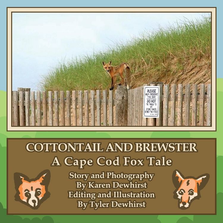 Produktbild: Cottontail and Brewster