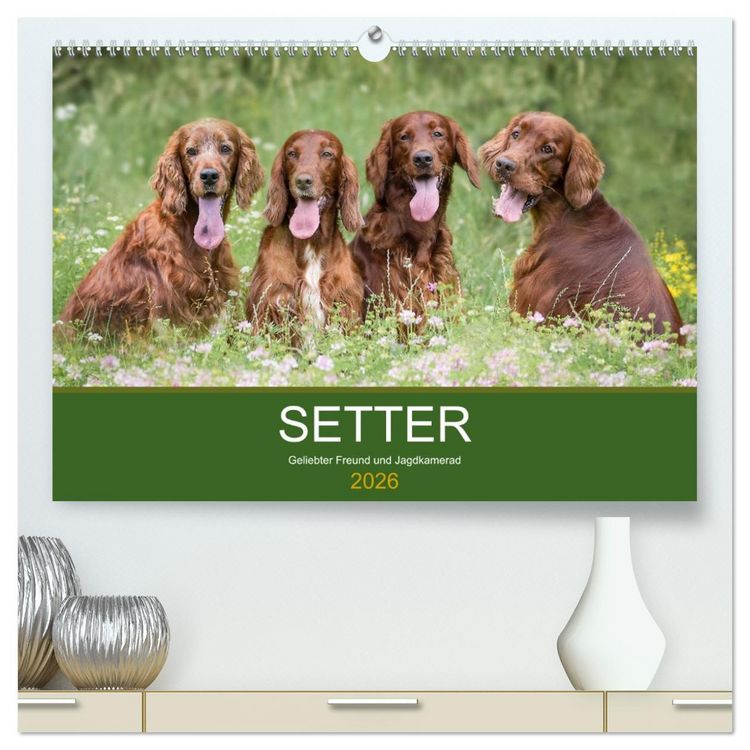 Produktbild: Setter - Geliebter Freund und Jagdkamerad (hochwertiger Premium Wandkalender 2026 DIN A2 quer), Kunstdruck in Hochglanz