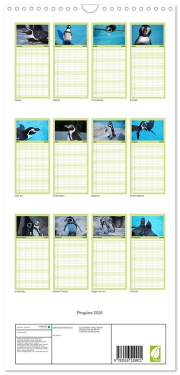 Produktbild: Familienplaner 2026 - Pinguine 2026 mit 5 Spalten (Wandkalender, 21 x 45 cm) CALVENDO