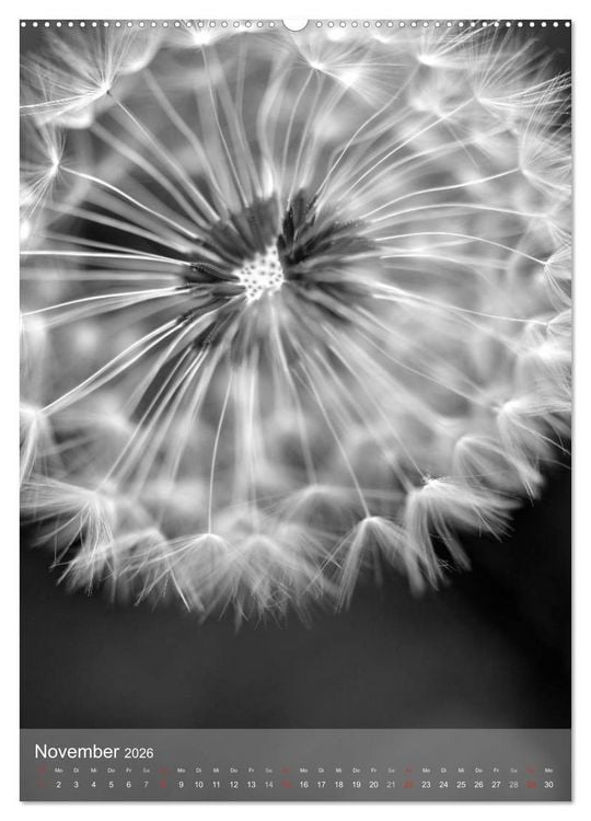 Produktbild: Monochrome Bl&uuml;ten - In Schwarz-Wei&szlig; Bildern durch das Jahr (hochwertiger Premium Wandkalender 2026 DIN A2 hoch), Kunstdruck in Hochglanz