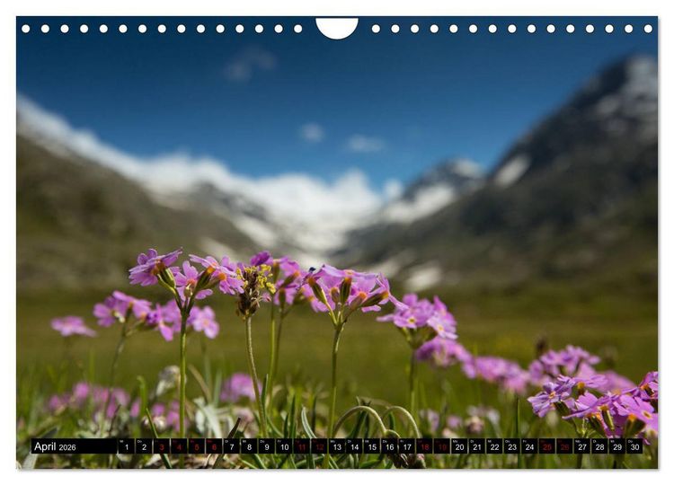 Produktbild: Nationalpark Gran Paradiso (Wandkalender 2026 DIN A4 quer), CALVENDO Monatskalender