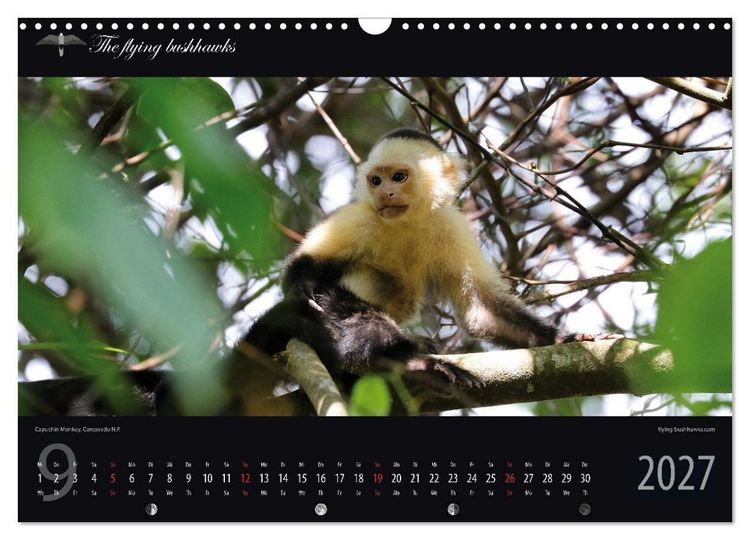 Produktbild: Costa Rica Blickwinkel 2027 (Wandkalender 2027 DIN A3 quer), CALVENDO Monatskalender