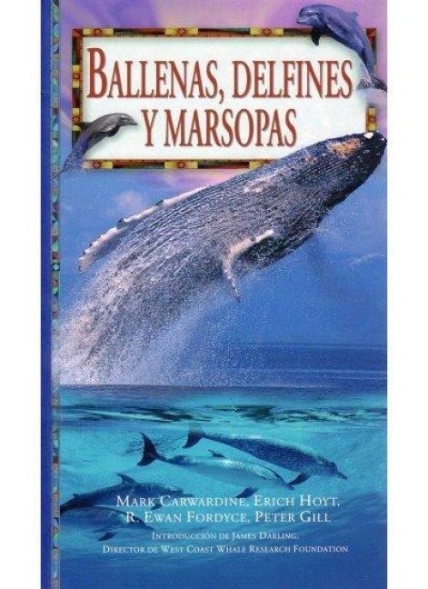 Produktbild: Ballenas, delfines y marsopas
