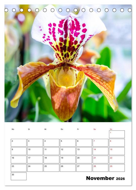 Produktbild: Orchideen - Tropische Sch&ouml;nheiten (Tischkalender 2026 DIN A5 hoch), CALVENDO Monatskalender