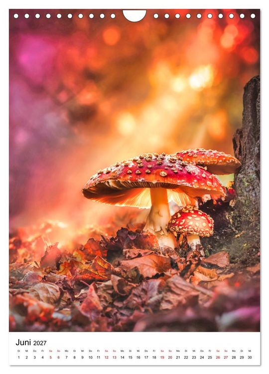 Produktbild: Pilzzeit - Leben auf dem Waldboden (Wandkalender 2027 DIN A4 hoch), CALVENDO Monatskalender