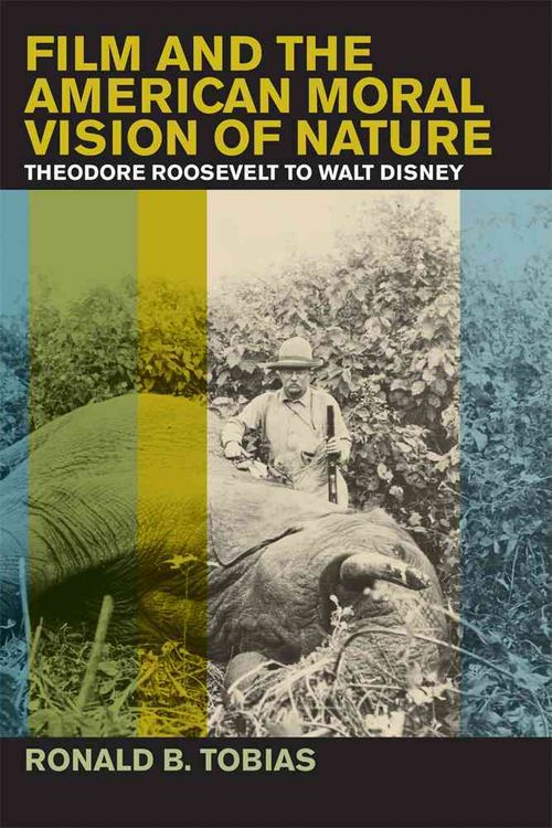 Produktbild: Film and the American Moral Vision of Nature