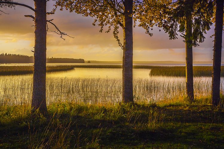 Produktbild: Abenteuer Baltikum