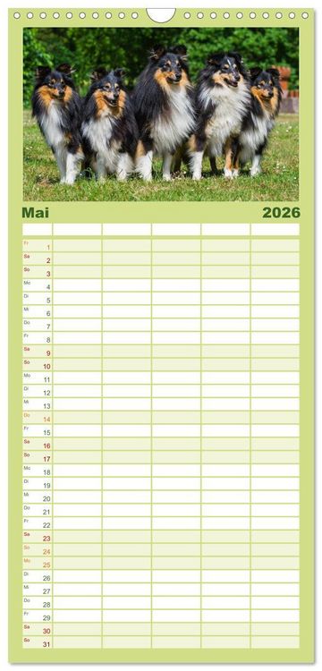 Produktbild: Familienplaner 2026 - Traumhund Sheltie mit 5 Spalten (Wandkalender, 21 x 45 cm) CALVENDO