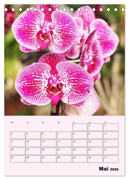 Produktbild: Orchideenliebe (Tischkalender 2026 DIN A5 hoch), CALVENDO Monatskalender