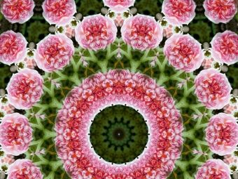 Produktbild: CALVENDO Puzzle Blumen Mandala - Kaleidoskop | 1000 Teile Lege-Gr&ouml;&szlig;e 64x48cm Foto-Puzzle f&uuml;r gl&uuml;ckliche Stunden