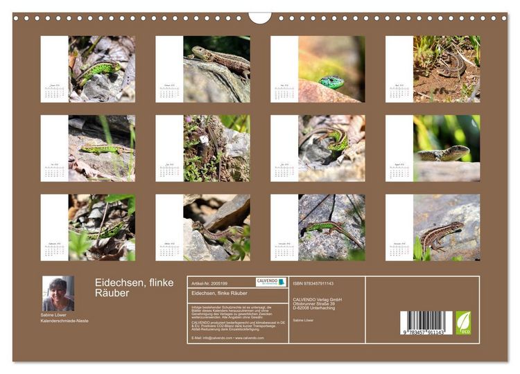 Produktbild: Eidechsen, flinke R&auml;uber (Wandkalender 2026 DIN A3 quer), CALVENDO Monatskalender