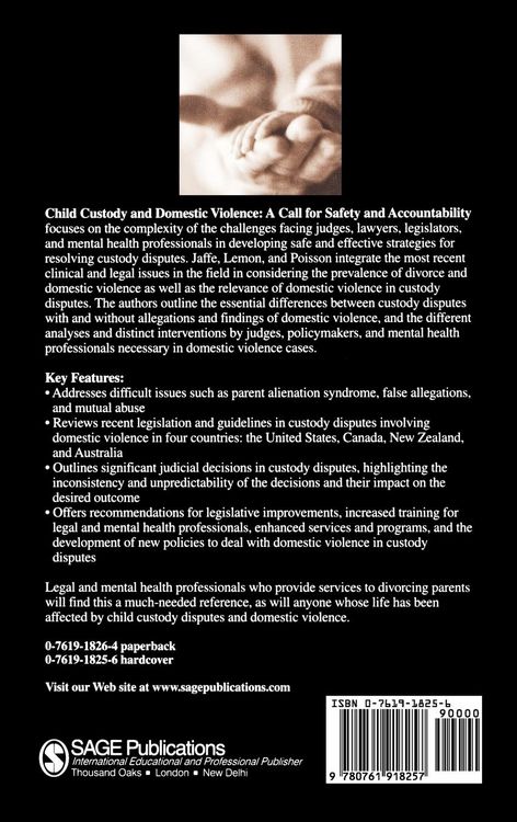 Produktbild: Child Custody and Domestic Violence