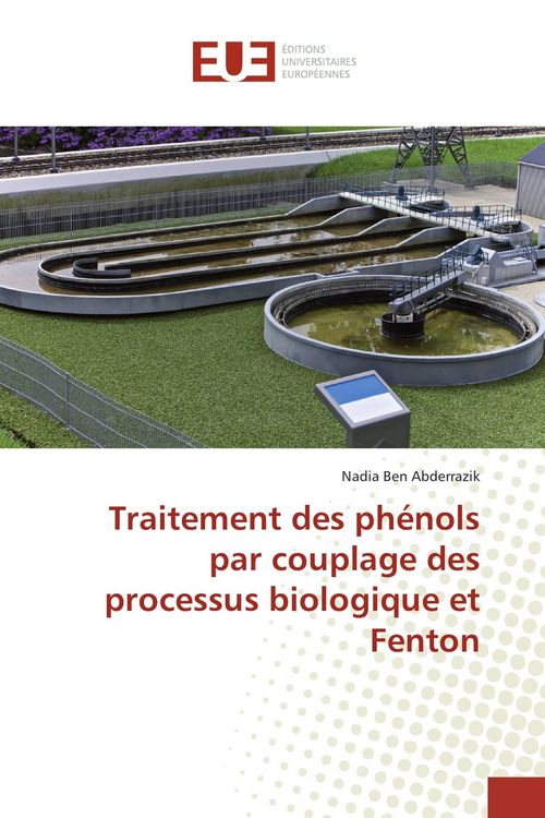 Produktbild: Traitement des ph&eacute;nols par couplage des processus biologique et Fenton