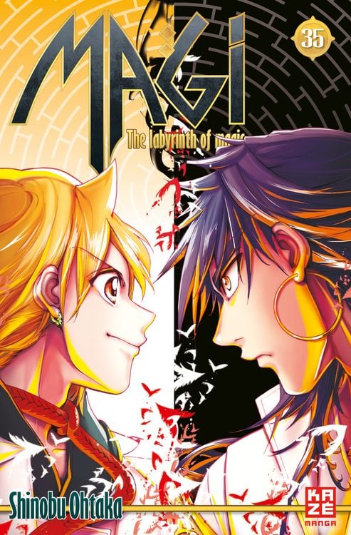 Bild vom Artikel Magi 35 vom Autor Shinobu Ohtaka