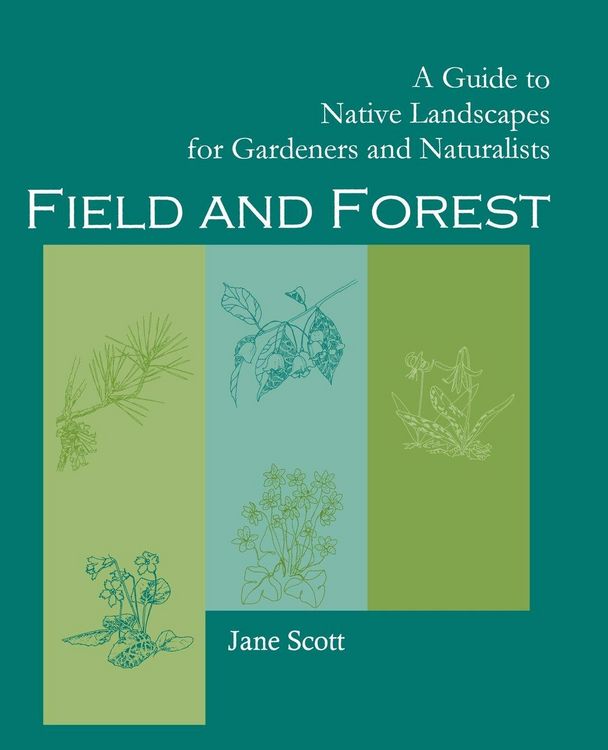Produktbild: Field and Forest