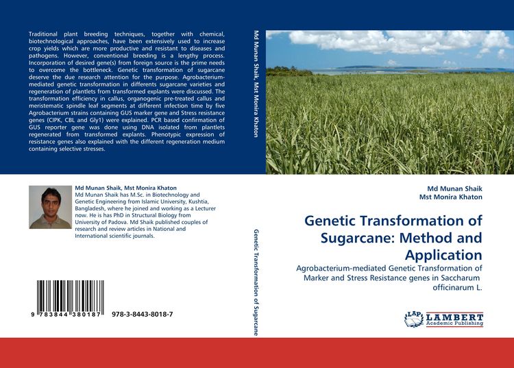 Produktbild: Genetic Transformation of Sugarcane: Method and Application