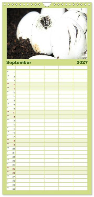 Produktbild: Familienplaner 2027 - Schlangen mit 5 Spalten (Wandkalender, 21 x 45 cm) CALVENDO