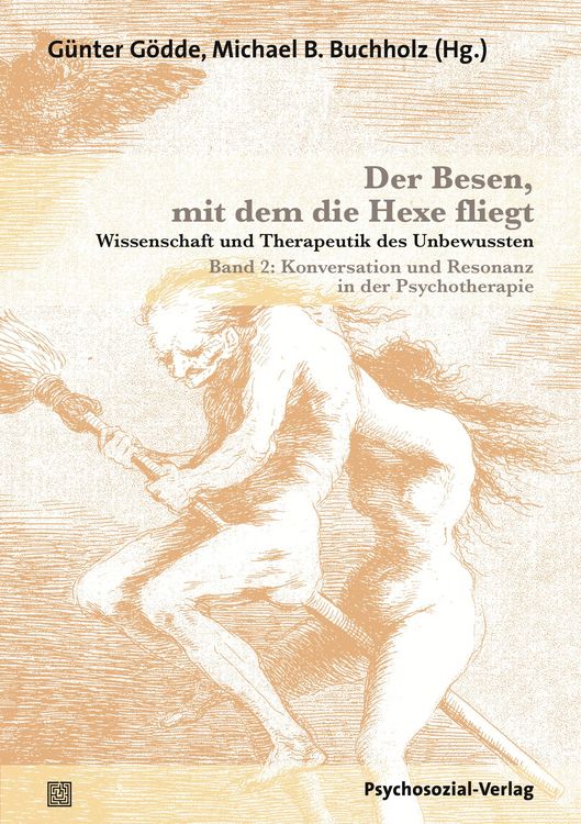 Produktbild: Der Besen, mit dem die Hexe fliegt