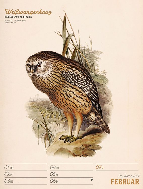 Produktbild: Wunderbare Vogelwelt Wochenplaner Kalender 2027