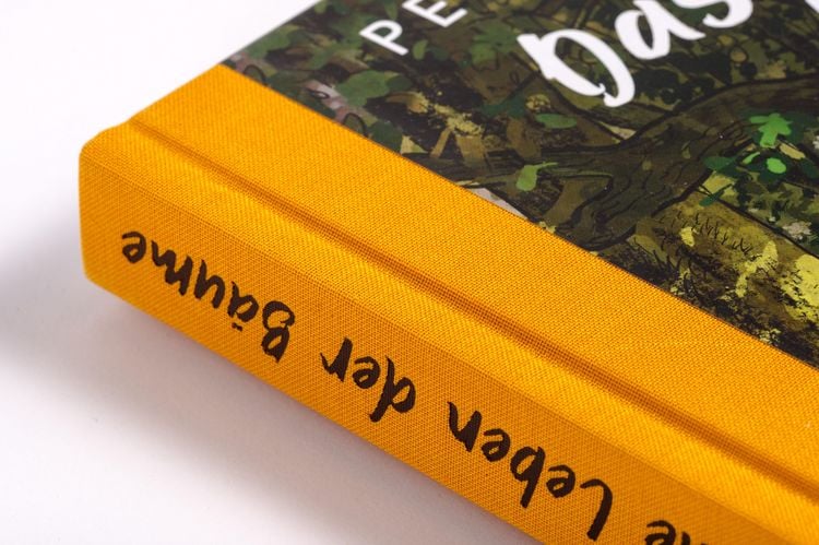 Produktbild: Das geheime Leben der B&auml;ume