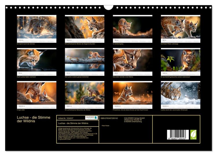 Produktbild: Luchse - die Stimme der Wildnis (Wandkalender 2026 DIN A3 quer), CALVENDO Monatskalender