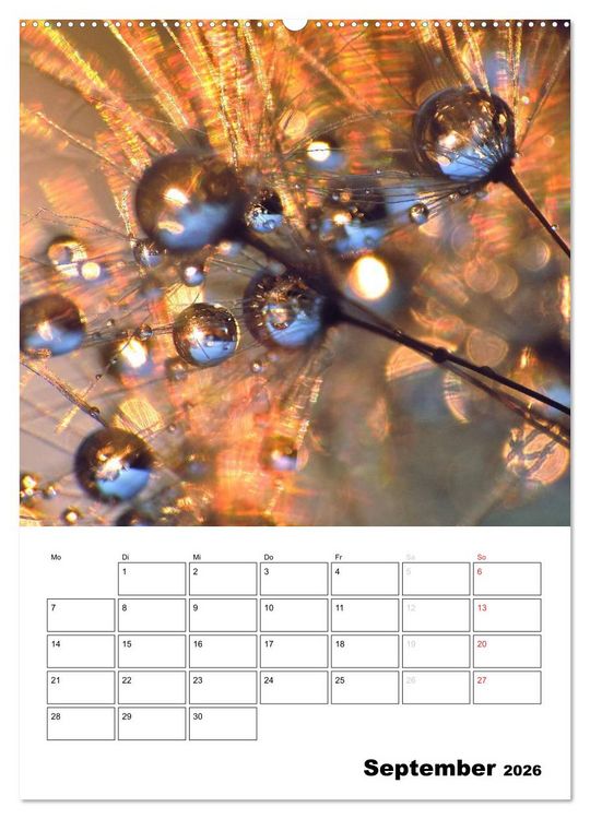 Produktbild: Pusteblumentraum - Dreams of Dandelion (Wandkalender 2026 DIN A2 hoch), CALVENDO Monatskalender