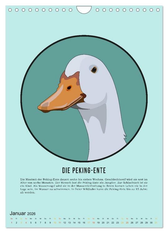 Produktbild: NUTZtiere, Ein Kalender f&uuml;r Erwachsene und aufgekl&auml;rte Kinder (Wandkalender 2026 DIN A4 hoch), CALVENDO Monatskalender