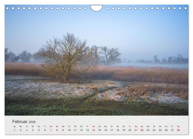 Produktbild: Magdeburg - Elbe, Dom ... und noch viel mehr! (Wandkalender 2026 DIN A4 quer), CALVENDO Monatskalender