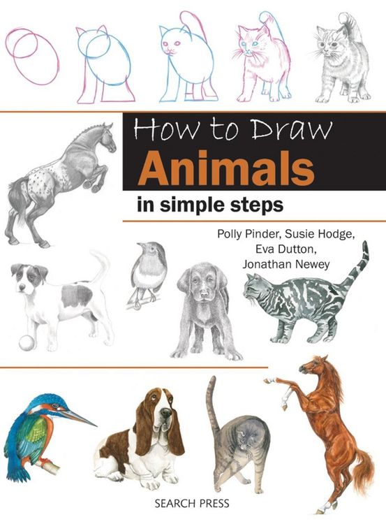 Produktbild: How to Draw Animals in Simple Steps