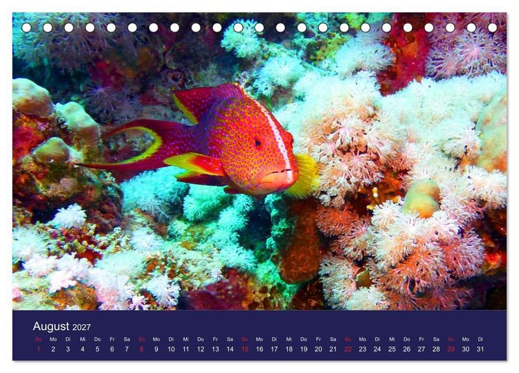 Produktbild: Wunderwelt Korallenriffe (Tischkalender 2027 DIN A5 quer), CALVENDO Monatskalender