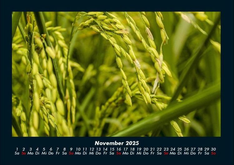 Produktbild: Bilder aus der Natur 2025 Fotokalender DIN A4
