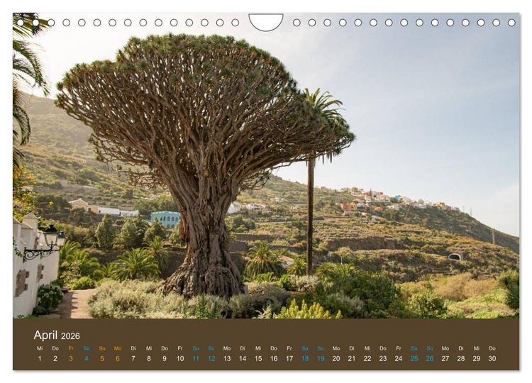 Produktbild: Wundervolles Teneriffa (Wandkalender 2026 DIN A4 quer), CALVENDO Monatskalender