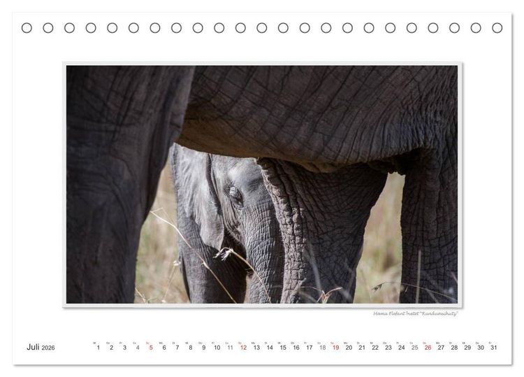 Produktbild: Emotionale Momente: Aus dem Leben der Elefanten. / CH-Version (Tischkalender 2026 DIN A5 quer), CALVENDO Monatskalender