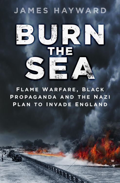 Produktbild: Burn the Sea