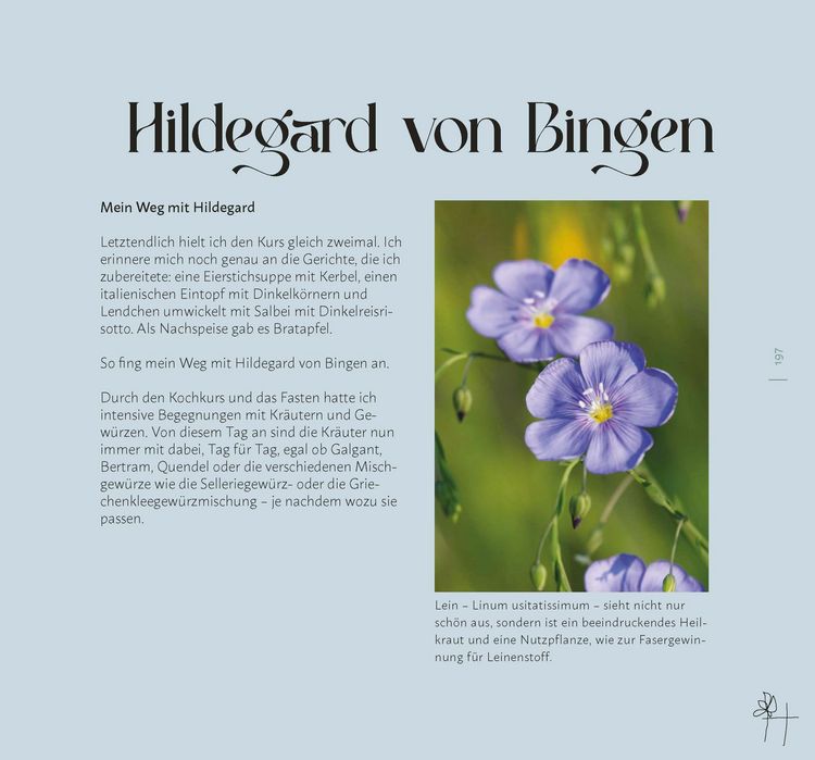 Produktbild: Faszination Wildkr&auml;uter
