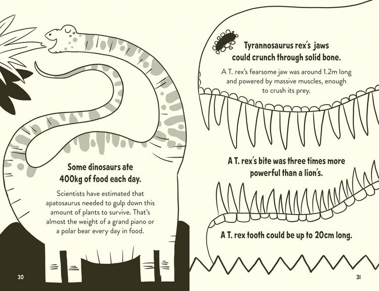 Produktbild: Amazing Facts Every 10 Year Old Needs to Know