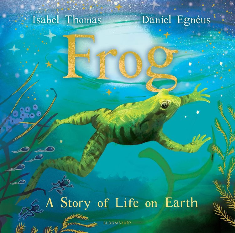 Produktbild: Frog