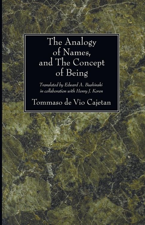 Produktbild: The Analogy of Names, and the Concept of Being