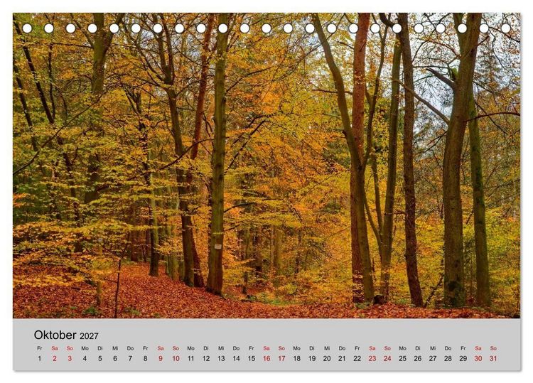 Produktbild: Biosph&auml;renreservat Schaalsee (Tischkalender 2027 DIN A5 quer), CALVENDO Monatskalender