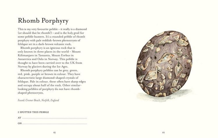 Produktbild: The Pebble Spotter's Guide - National Trust Edition