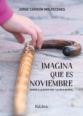Produktbild: Imagina que es noviembre