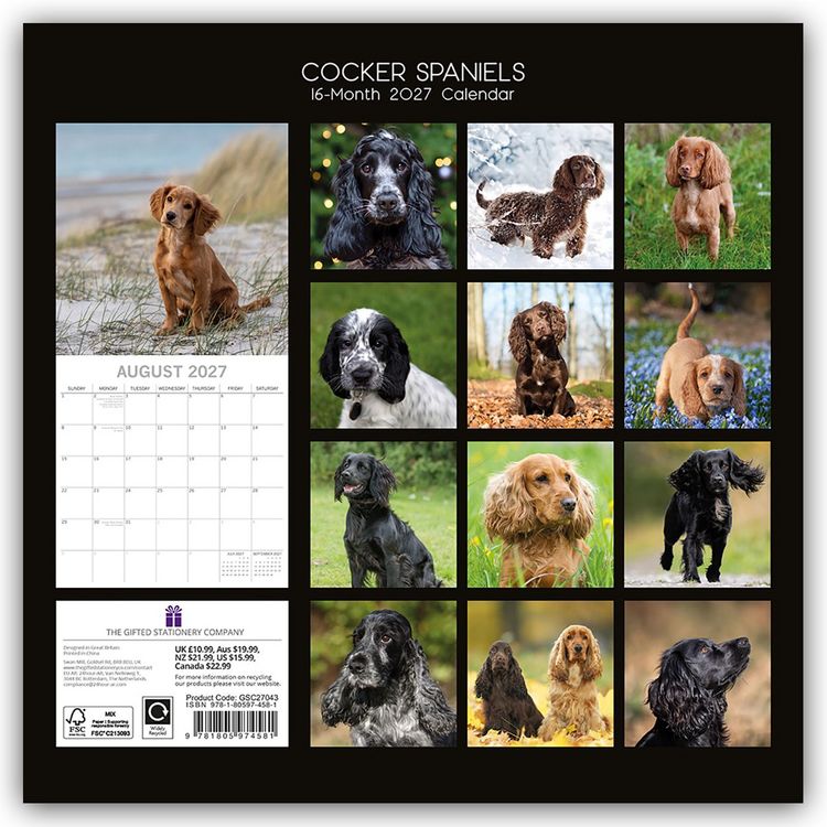 Produktbild: Cocker Spaniels 2027 &ndash; 16-Monatskalender
