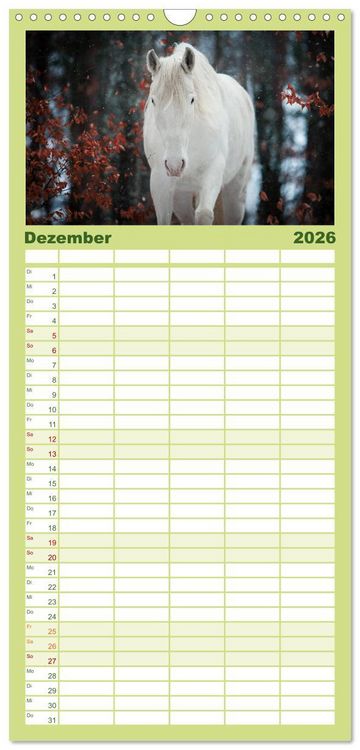 Produktbild: Familienplaner 2026 - Die Faszinierende Welt der Pferde mit 5 Spalten (Wandkalender, 21 x 45 cm) CALVENDO