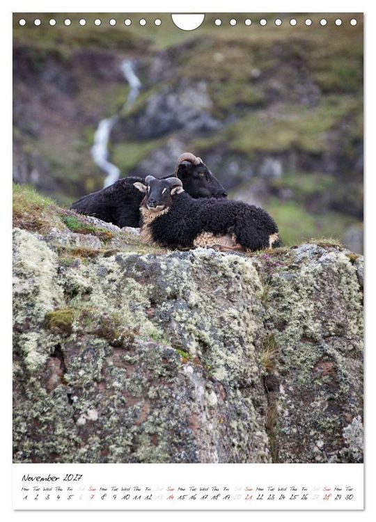 Produktbild: Iceland Calendar 2027 - Discover unique nature - UK Version (Wall Calendar 2027 DIN A4 portrait), CALVENDO 12 Month Wall Calendar