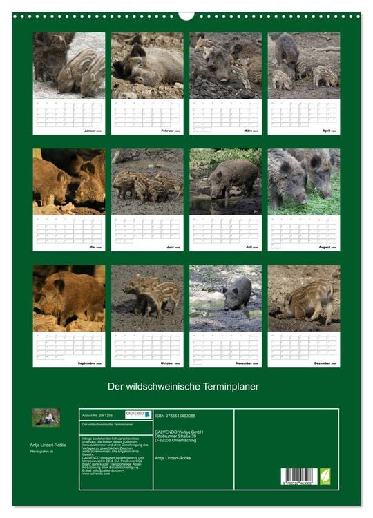 Produktbild: Der wildschweinische Terminplaner (Wandkalender 2026 DIN A2 hoch), CALVENDO Monatskalender