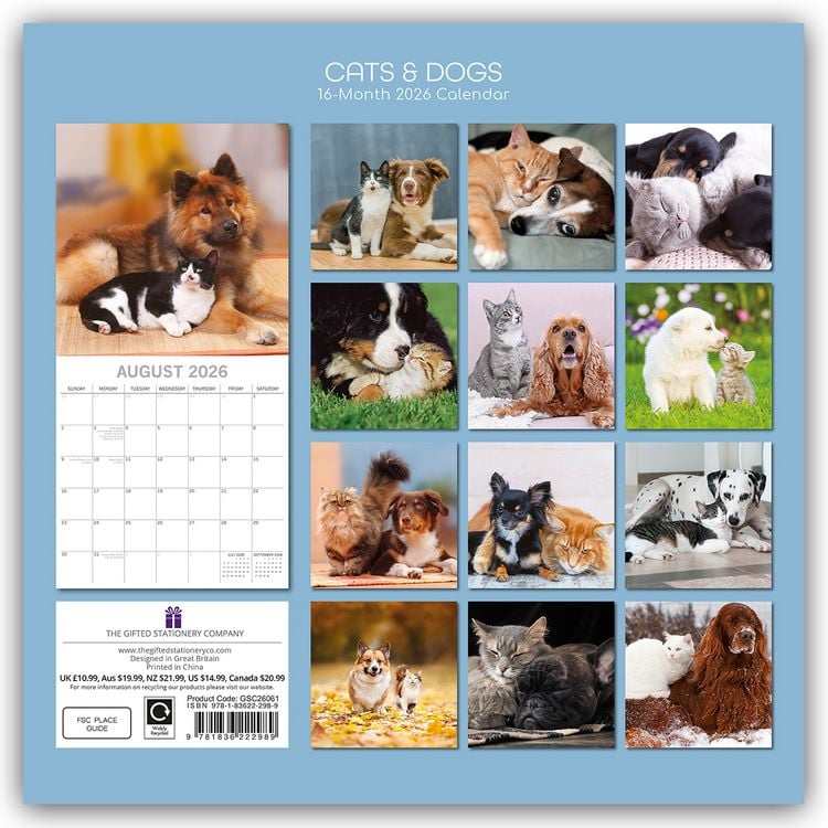 Produktbild: Cats and Dogs – Katzen und Hunde 2026 – 16-Monatskalender