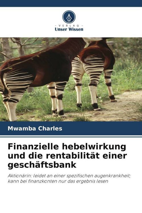 Produktbild: Finanzielle hebelwirkung und die rentabilit&auml;t einer gesch&auml;ftsbank