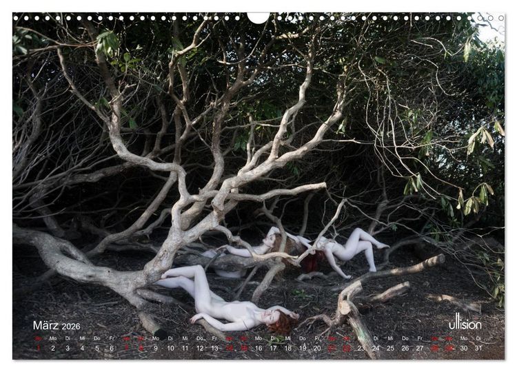 Produktbild: Poesie der Stille &ndash; Akt in der Natur (Wandkalender 2026 DIN A3 quer), CALVENDO Monatskalender