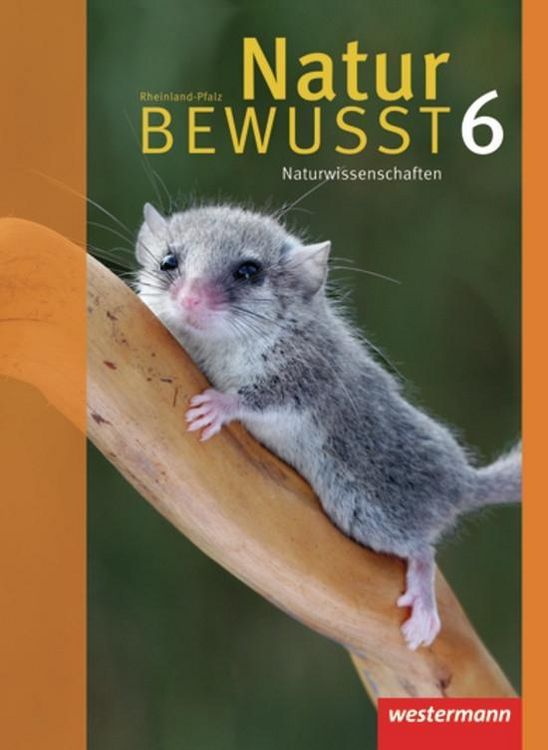 Produktbild: Natur bewusst 6 SB Naturwiss. RHP (Ausg. 08)
