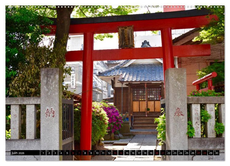 Produktbild: Les couleurs de Tokyo (Calendrier mural 2026 DIN A2 vertical) calendrier de bureau
